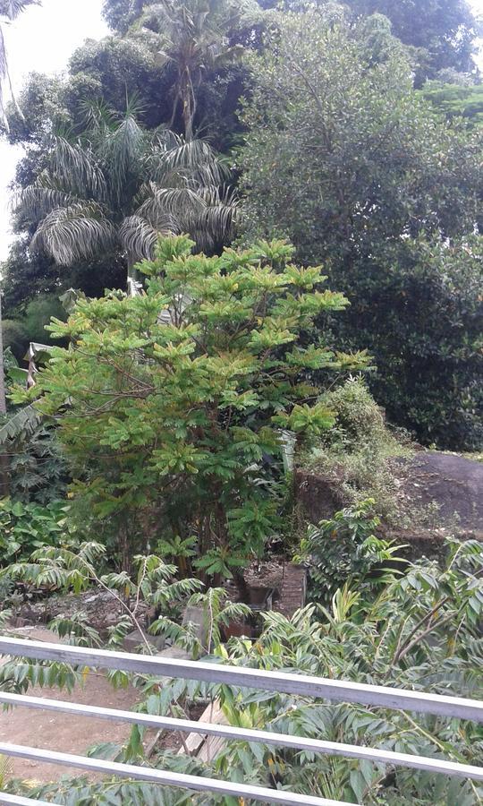 Madu Sentana House Hotel Ubud Kültér fotó